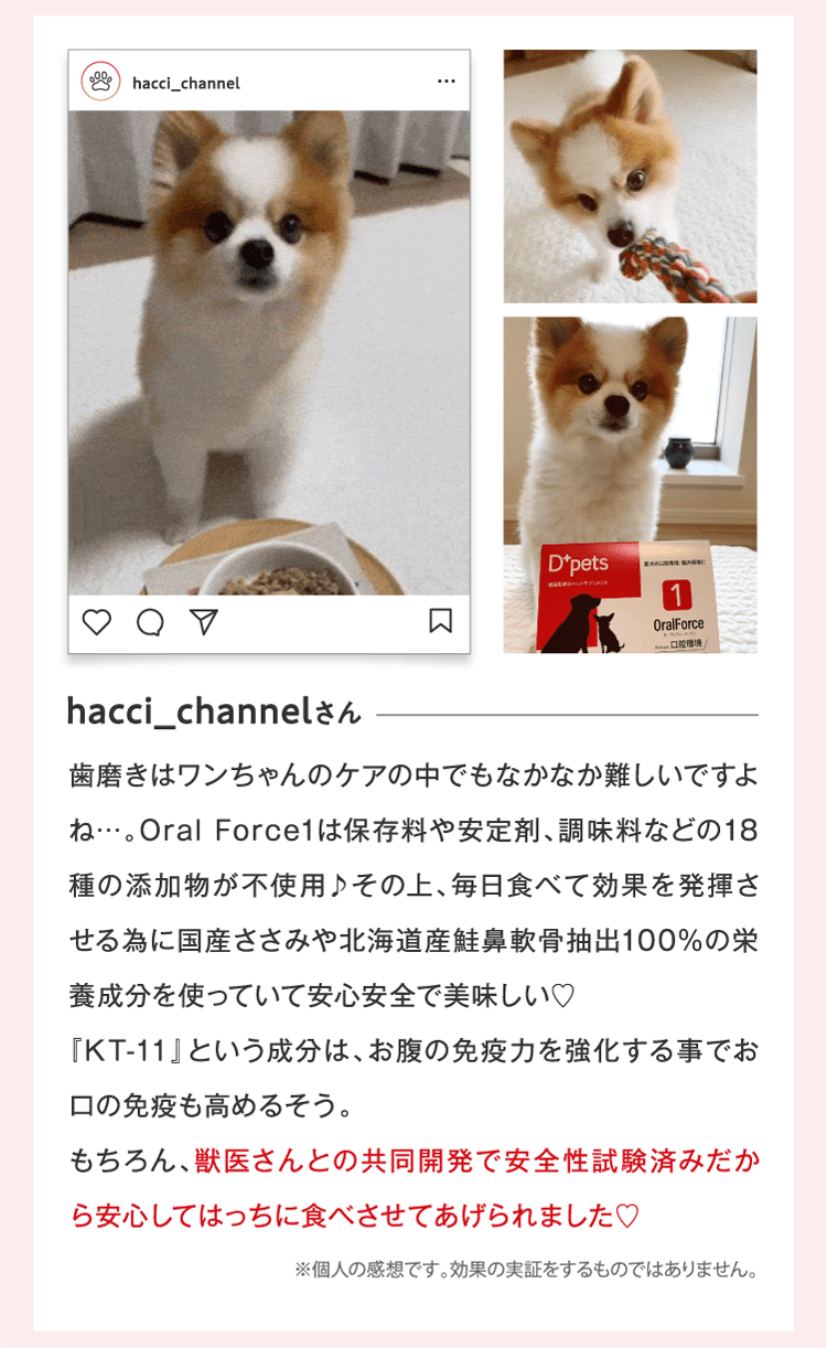 hacci_channelさん