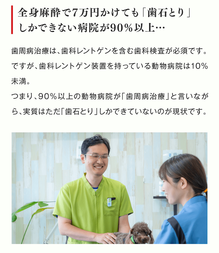 全身麻酔で7万円かけても「歯石とり」しかできない病院が90%以上…