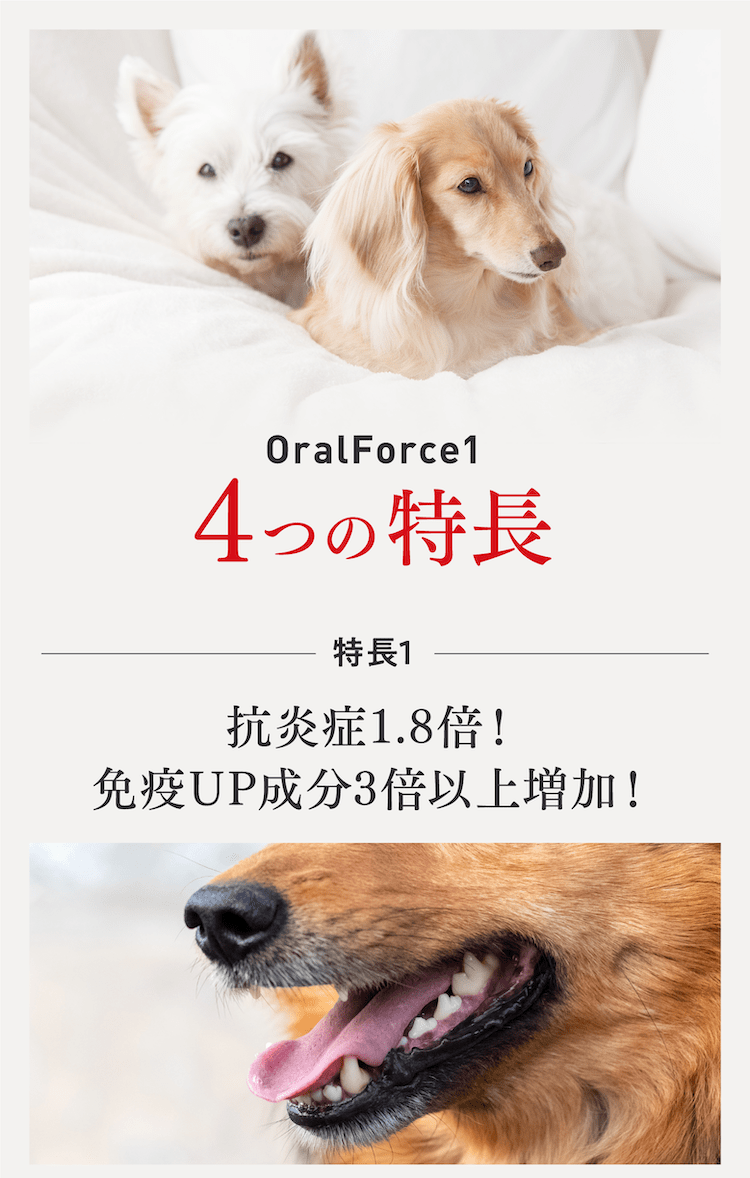 OralForce1 4つの特徴