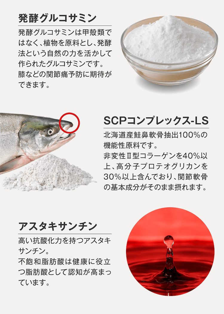 発酵グルコサミン、SCPコンプレックス-LS