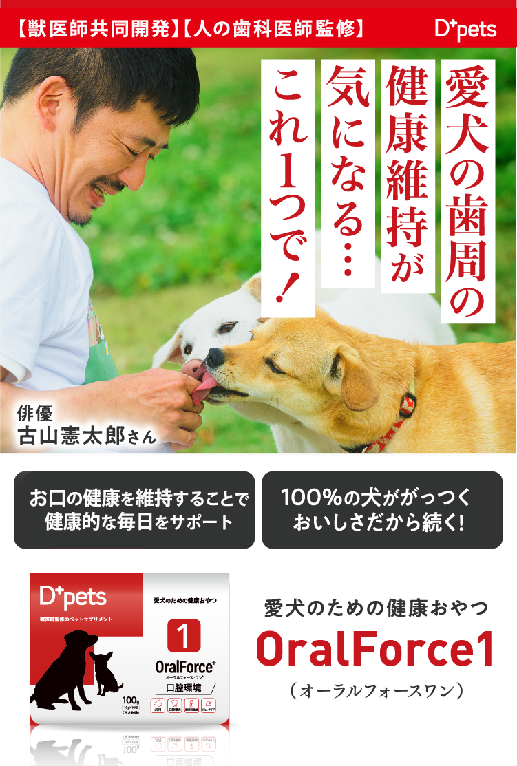 OralForce1（オーラルフォースワン）| 歯周病が不安な犬がこれ1つで!