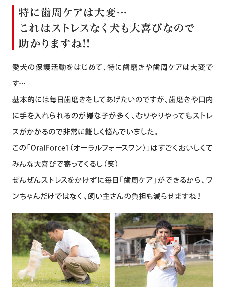 OralForce1（オーラルフォースワン）| 歯周病が不安な犬がこれ1つで!