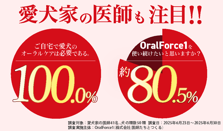 OralForce1（オーラルフォースワン）| 歯周病が不安な犬がこれ1つで!